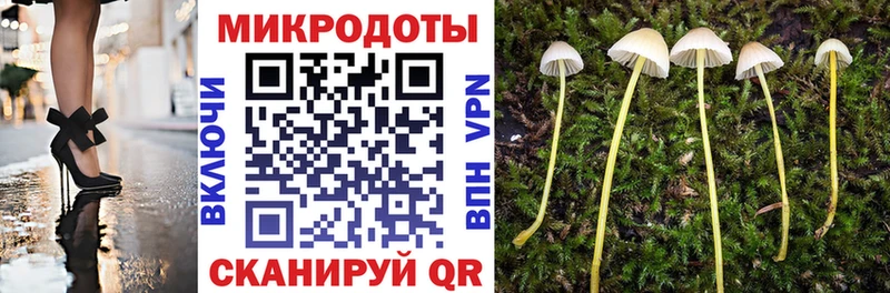 Галлюциногенные грибы MAGIC MUSHROOMS  закладка  Усинск 